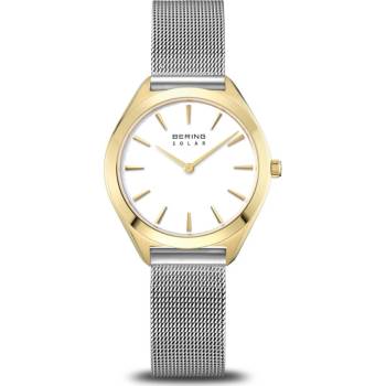 Bering 17331-010