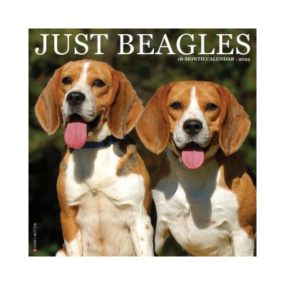 Beagles 12 X 12 Wall 2026