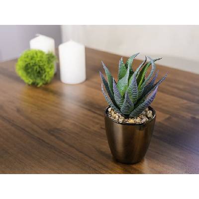 SLOVAKIA TREND Sukulent MagicHome S15643 17 cm kvetináč - plast zlatý