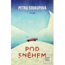 Pod sněhem