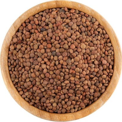 Vital Country šošovica hnědá BIO 1 kg