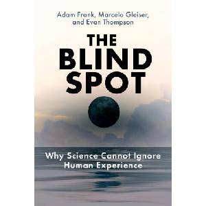 BLIND SPOT | FRANK ADAM (2025)