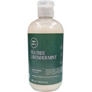 Paul Mitchell Tea Tree Lavender Mint Moisturizing Shampoo 300 ml