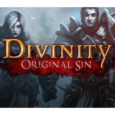 Divinity: Original Sin - Source Hunter