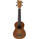 Ashton UKE 500S