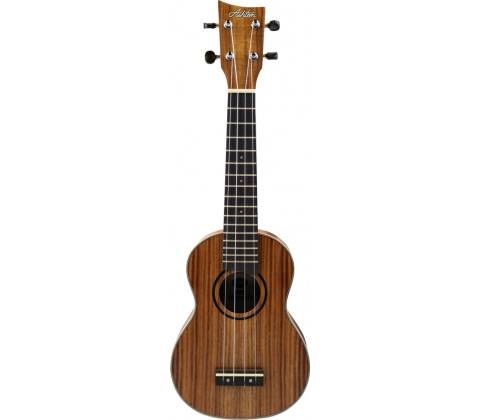 Ashton UKE 500S