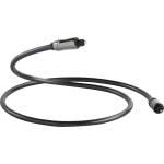 QED Кабел QED Performance Optical Graphite - 5м (QE6604) - vsystem