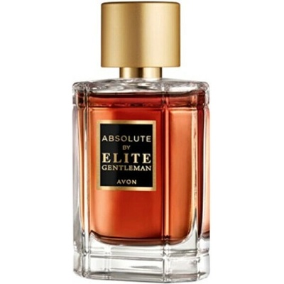 Avon Absolute By Elite Gentleman toaletná voda pánska 50 ml