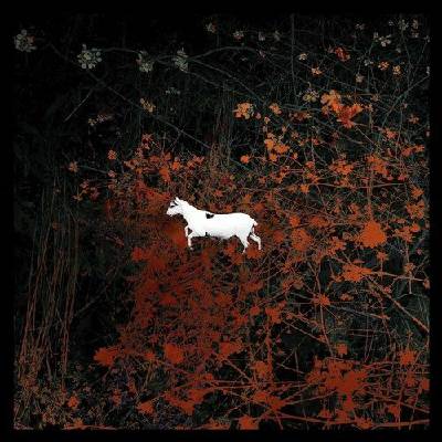 LES DISCRETS: PREDATEURS LP