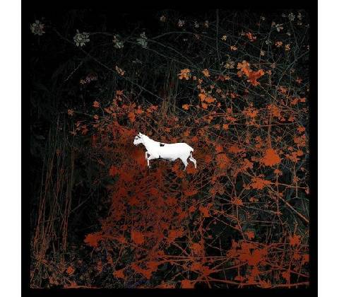 LES DISCRETS: PREDATEURS LP