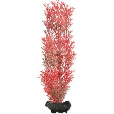Tetra Red Foxtail M 23 cm