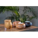 Image 1 of TrueLife D5 TLAIRDD5L