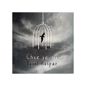 Chce se mi