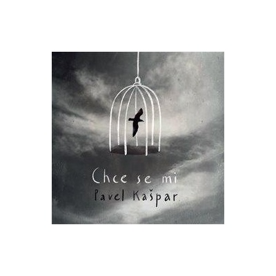 Chce se mi