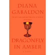 Dragonfly in Amber
