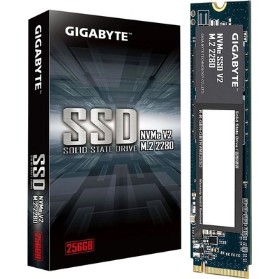 GIGABYTE 256GB G3NVMEV2256G