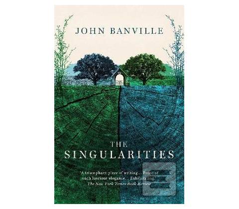 The Singularities