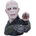 Nemesis Now Статуетка бюст Nemesis Now Movies: Harry Potter - Lord Voldemort, 31 cm (NEMN-B5792U1)