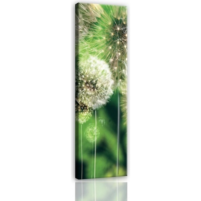 Postershop Obraz na plátně: Pampelišky - 45x145 cm