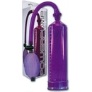 Pressure Pleasure Purple