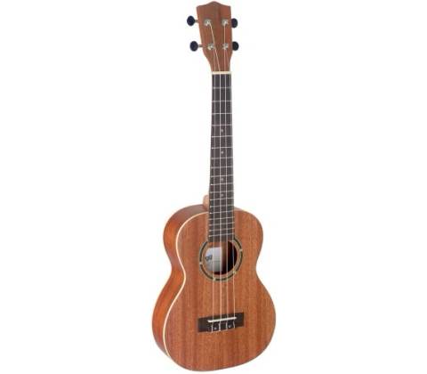 Stagg UT-30