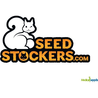 Seedstockers BCN Critical XXL AUTO semena neobsahují THC 1 ks – Zboží Dáma