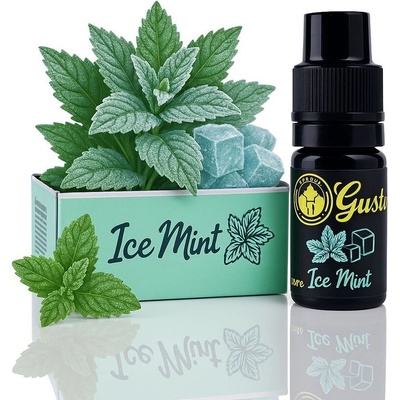 Chemnovatic Mix & Go Ice Mint 10ml
