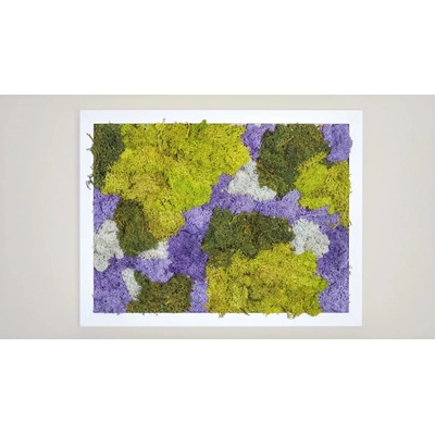 LEDmech Mechový obraz - bílý rám, fialový 42 x 30 cm