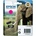 Epson T2423