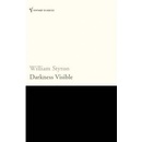 Darkness Visible - William Styron