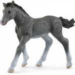 Schleich Жребче на тракенен кон (13944)