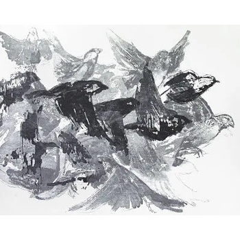 Image 1 of Графика " Птици в полет"