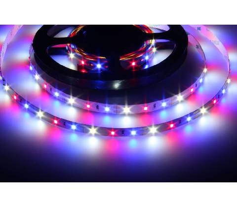 T-LED 078080