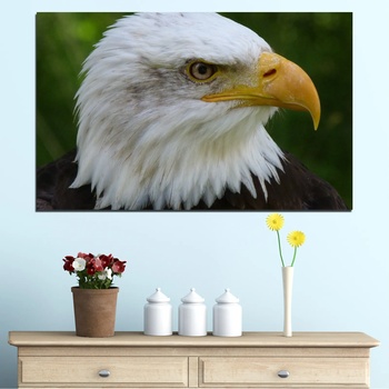Vivid Home Декоративни панели Vivid Home от 1 част, Птици, PVC, 35x25 см, №0613