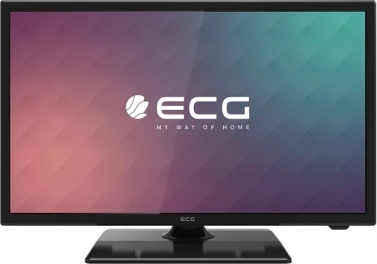 ECG 22F01T2S2