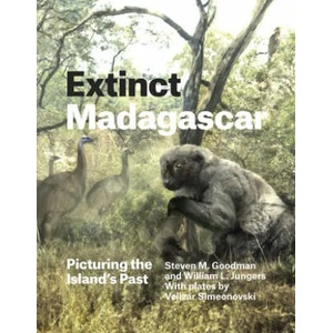 Extinct Madagascar | Steven M. Goodman, William L. Jungers (ISBN: 9780226143972)