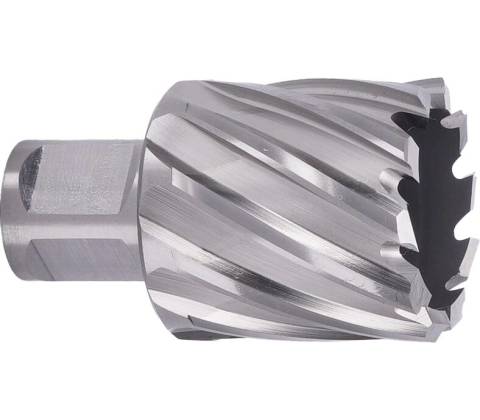 ABSE N-HS-W19-0360025