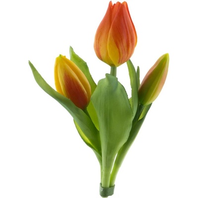 Tulipán x3 Sally' svazek oranžový V16 cm