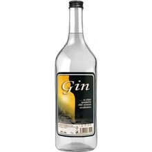 Frucona Gin 40% 1 l (čistá fľaša)