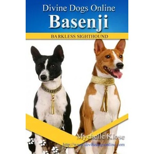 Basenji | Mychelle Klose (2016)