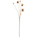 Bloomingville Изкуствено цвете Bloomingville Poppy бежово (82061478)