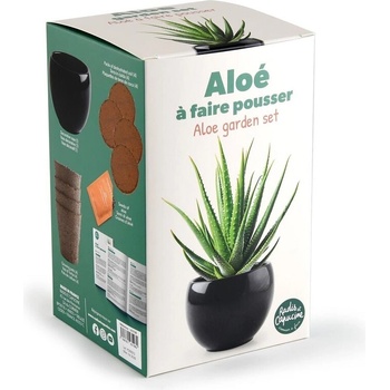 Radis et Capucine Алое в черна саксия - комплект за отглеждане (pf143198)