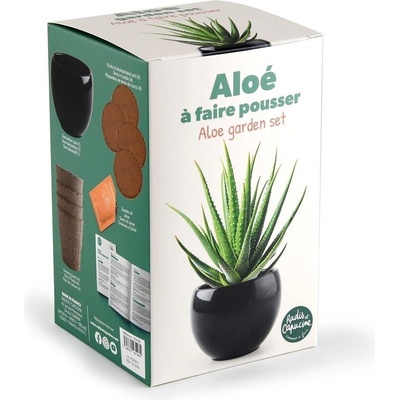 Radis et Capucine Алое в черна саксия - комплект за отглеждане (pf143198)