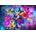 Bluebird Puzzle - Puzzle Flowers and Butterflies II 1000 - 1 000 piese