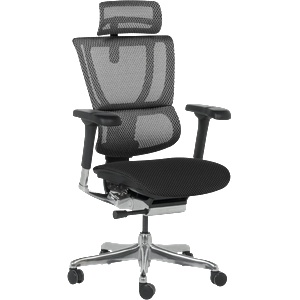 Ergohuman Ергономичен стол ergohuman ioo elite 2 - черна рамка - черен (3520667) - tierradesign