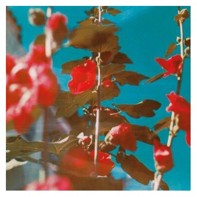 LAWSON, CHAD - BREATHE CD