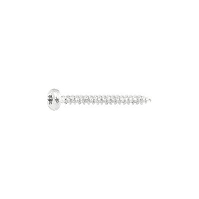 Speed vrut s půlkulatou hlavou 4.5x20 plný závit, TX 20, povrch EFP (500 ks)