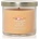 Yankee Candle Slopeside Spritz ароматна свещ Signature 122 гр