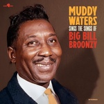 Muddy Waters - Muddy Waters Sings The Songs Of Big Bill Broonzy (LP) (8436563184727)