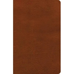 NASB Large Print Personal Size Reference Bible, Burnt Sienna Leathertouch | Holman Bible Publishers (ISBN: 9781087756271)